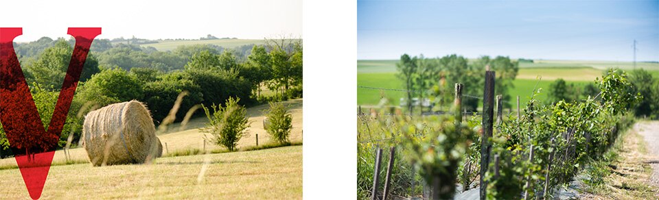 Vittel_agrivair_actions