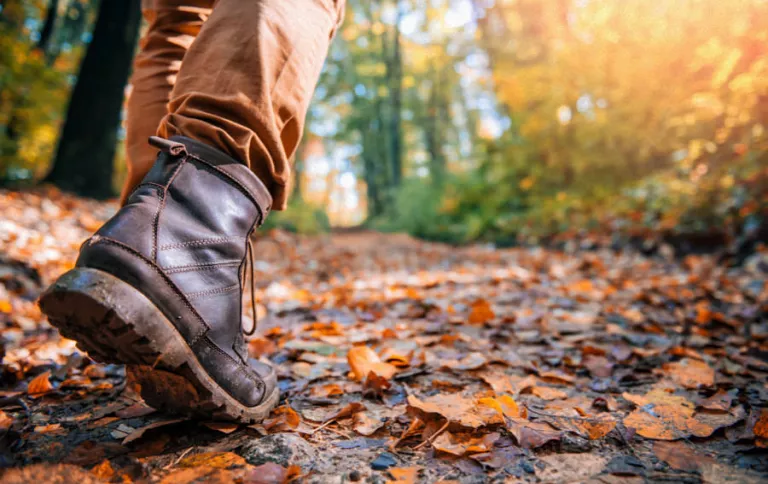 Creatiever de natuur in