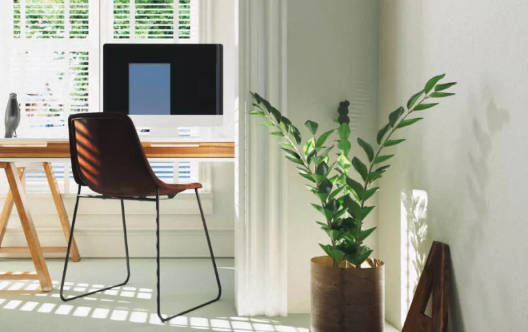 De ideale homeoffice planten