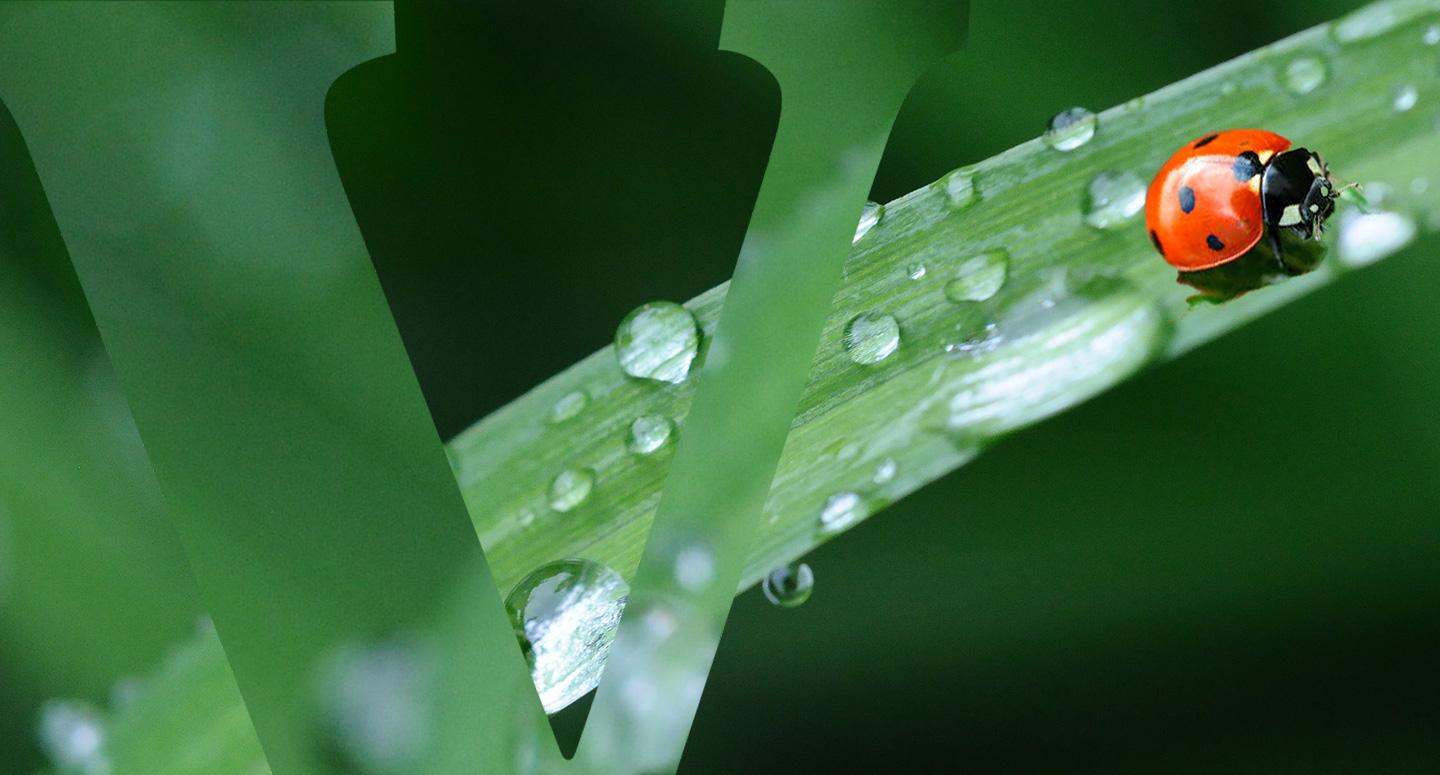Vittel-Engagement-header
