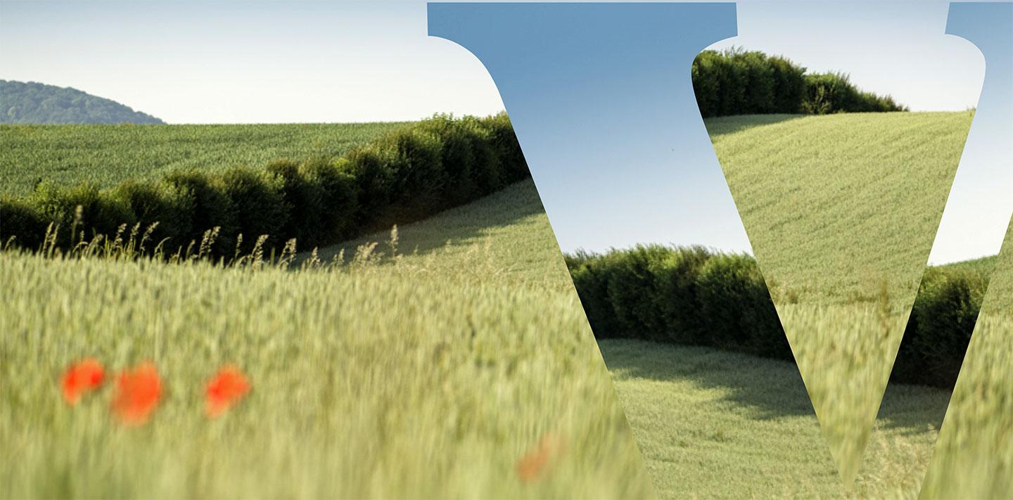 Vittel-source-preservee-header