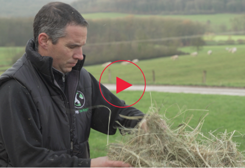 De natuur laten opleven