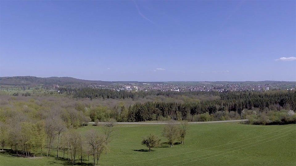 video Francois Negro