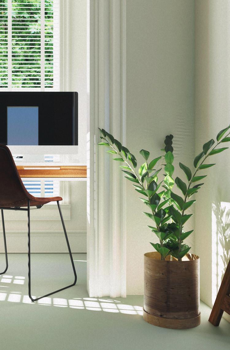 De ideale homeoffice planten