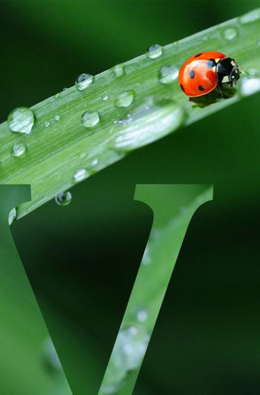 Vittel-Engagement-header