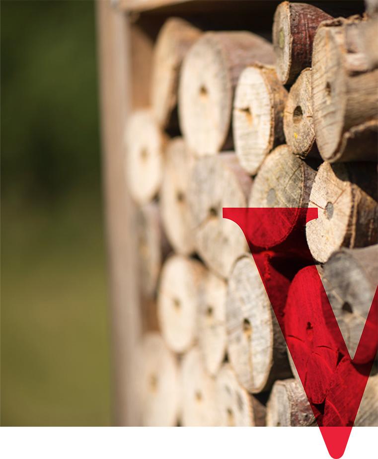 Le bois de chauffage empillé
