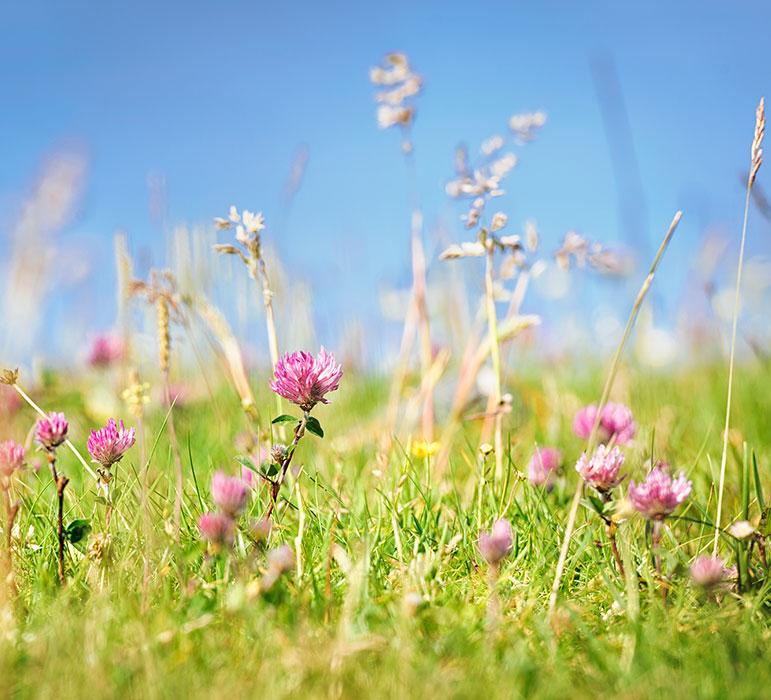 Vittel-engagement-biodiversite