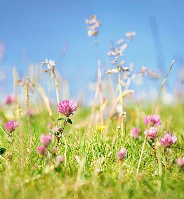 Vittel-engagement-biodiversite