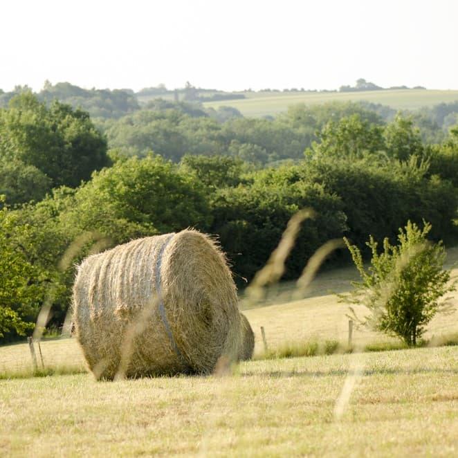 A large hay bale sits in a sunlit field, surrounded by lush green trees and rolling hills in the background.